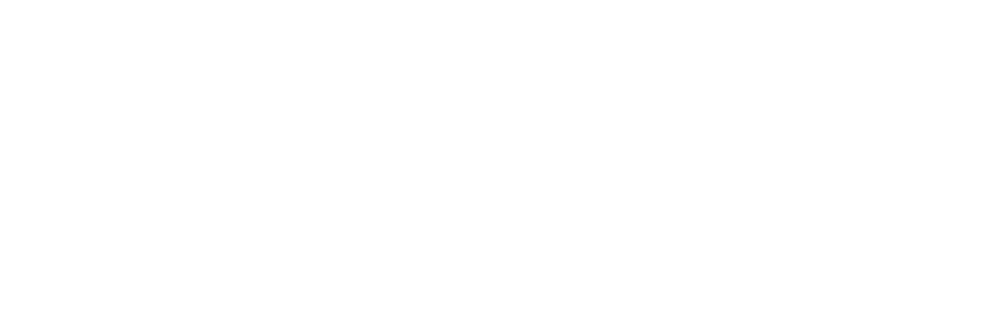 Logo ZopiTech